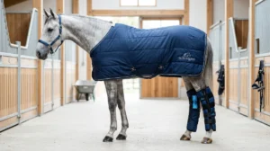 La cryothérapie pour les chevaux et son protocole